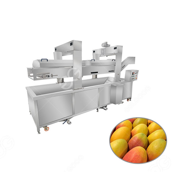 harga mesin-pemutih-mangga.jpg