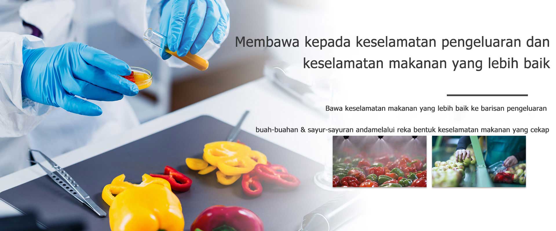 BAWA KESELAMATAN PENGELUARAN YANG LEBIH BAIK DAN KESELAMATAN MAKANAN 